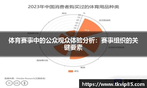 体育赛事中的公众观众体验分析：赛事组织的关键要素